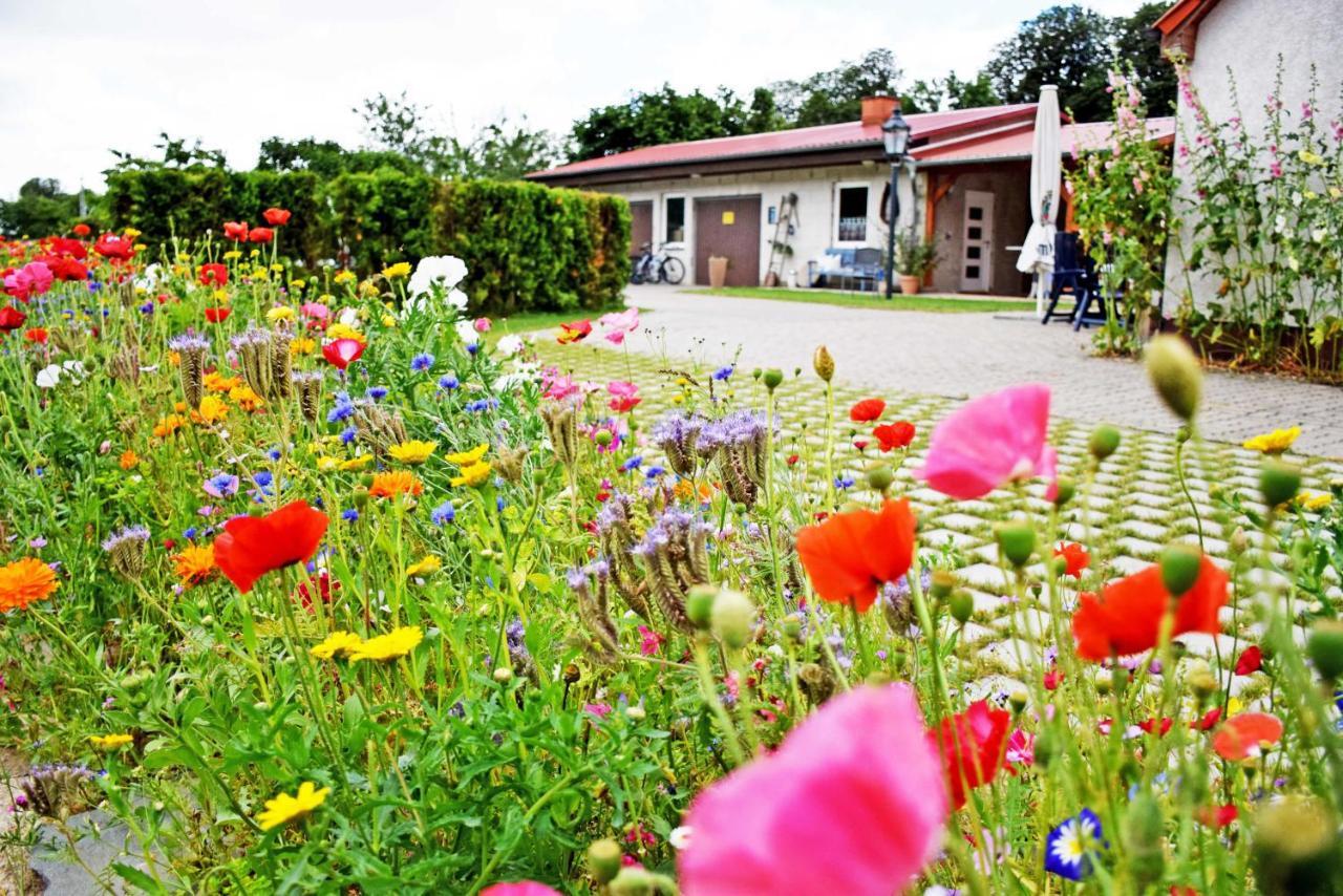 Ferienwohnungen Auf Dem Pommernhof Samtens Eksteriør bilde